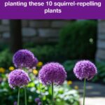 10 bizarre mulch tricks gardeners are oddly obsessed with