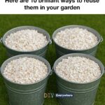 Stop pulling this up—it’s not a weed. Here’s why