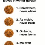 Had no clue about this