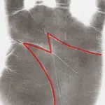 How Eating This Food Affects Elderly Health