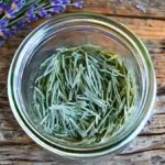 How To Grow a Giant Lemon Tree No Matter Where You Live