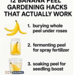 Wish I saw this sooner! Great tips!