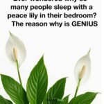 Lady rubs Vicks Vaporub on her feet before she sleeps for this brilliant reason