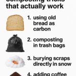 If you see these buggers near your pots, don’t panic. Here are 6 brilliant things you can do