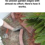 What It Really Means When Someone Helps the Server Clear the Table, According to Psychologists