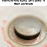 If you don’t get enough of this 1 vitamin, your skin may lose elasticity and develop wrinkles