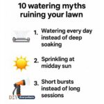 Ginger Has Unbelievable Power: It Can Help Treat These 12 Diseases