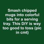 Don’t spend tons of money on family photos. Try these 8 smart ideas