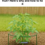 Didn’t realize you could do this