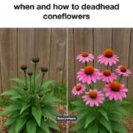 I didn’t realize this would work!