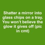 How to Grow Mango from Seed at Home (Easy Method That Really Works)