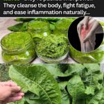 From Stalks to Leaves – So Many Ways to Use the Entire Rhubarb Plant!