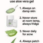 You’re doing it all wrong. Here’s the right time to actually pick tomatoes