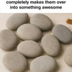 Say Goodbye to Flies, Mosquitoes, and Cockroaches: Just 1 Hour with This Method