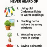 Didn’t realize you could do this!