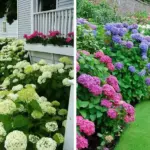 18 Perennial Veggies You Can Plant Once and Harvest For Years