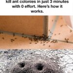 My sister got a delivery today with a random triangle mark scribbled on the box. She thinks it’s a warning—what does the triangle mean?