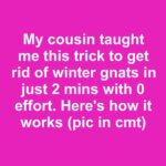 Most people have no clue. Here’s the hidden power of this plant