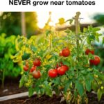 When a Woman Bites Her Lip While Looking at You — What She’s Really Communicating