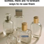 Most people get this wrong and toss out the can. The right way to read ‘Best By’ or ‘Best Before’ dates.