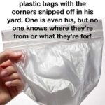 Most do this wrong. 10 ways you are storing firewood wrong