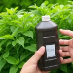 21 Houseplants that Can Grow Without Sunlight