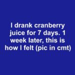 How to Make a String Of Pearls to Bloom (Highly Fragrant & Rare)