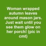 Why I Always Cut Back My Herbs in November (It Makes Them Grow Twice as Fast)