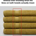 10 Plants That Should Never Grow Near Peppers & 8 Beneficial Companions