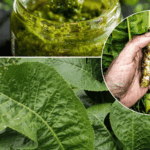 Don’t Toss That Tea Bag – Tuck It in a Pot Instead (Here’s Why)