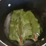 How to Grow Avocado from Seed at Home (2 Simple Methods That Work)