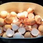 Water, Vinegar & Two Cloves – Leave It for a Day and See What You Notice