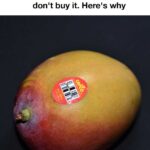 You are doing it all wrong. Here’s the right way to use salt gargle