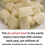 The Hidden Meaning of the “M” on Your Palm: What It Says About Men and Women