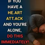 Why do black cats go missing for days at a time?