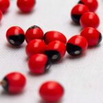 Put borax on wax paper and slide it under fridge. Here’s why