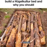 Can’t believe I’ve been doing this wrong this entire time