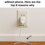 Don’t Toss Nut Shells – Here Are Brilliant Uses for Them in Your Garden