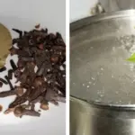 Similar to Opium: The Best Natural Painkiller that Grows in your Backyard