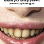 You are doing it all wrong. Here’s the right way to drink tea