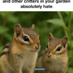 11 weird watering hacks gardeners swear by