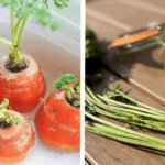 Put borax on wax paper and slide it under fridge. Here’s why