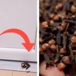 It grows everywhere, but most people don’t know its name or its importance in the world