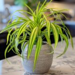 You are doing it all wrong. Here’s how to drink 8 glasses of water each day