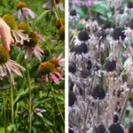 Oh so easy to do! Plus looks good