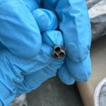 Lady dumps baking soda down her sink. Here’s the genius reason why