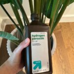 Why You Should Grow Hollyhocks in Your Yard and How to Eat Every Part of this Plant