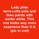 Found this underneath my patio furniture cover. Anyone know what it is? What should I do?