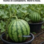 This is the first time I’m hearing about this