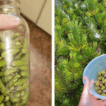 My nose is getting bumpy, swollen, and red. Next doctor slot is way out. What should I do?